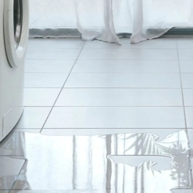 Appliance Leak Cleanup in Newton County, IN