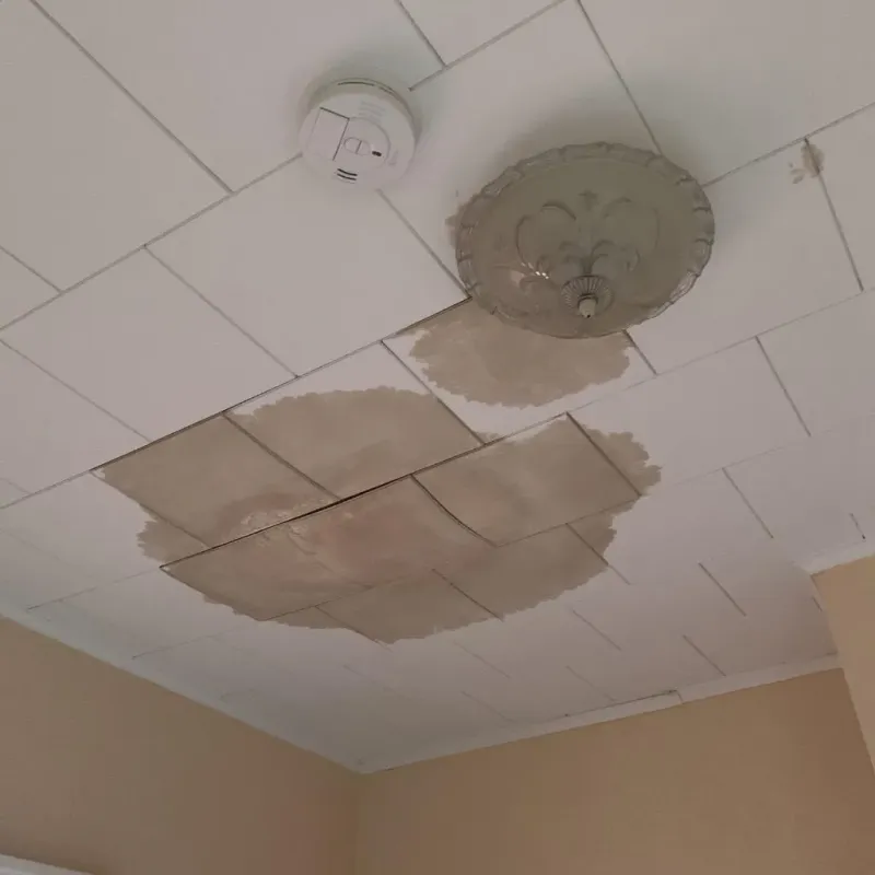 Ceiling Water Damage Repair in Newton County, IN