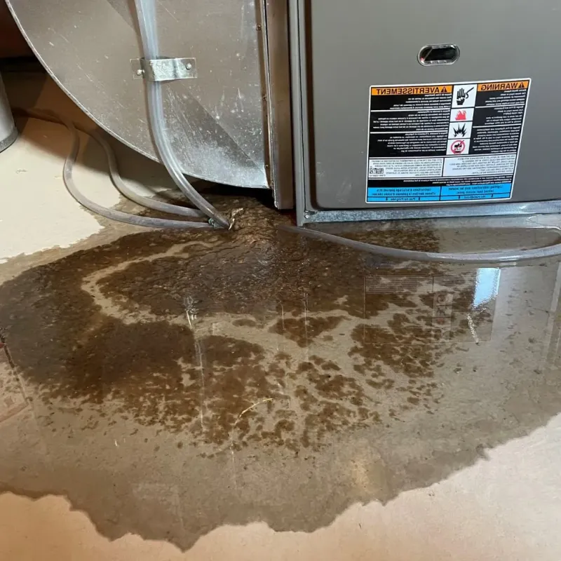 Pipe Burst and Leak Restoration in Newton County, IN